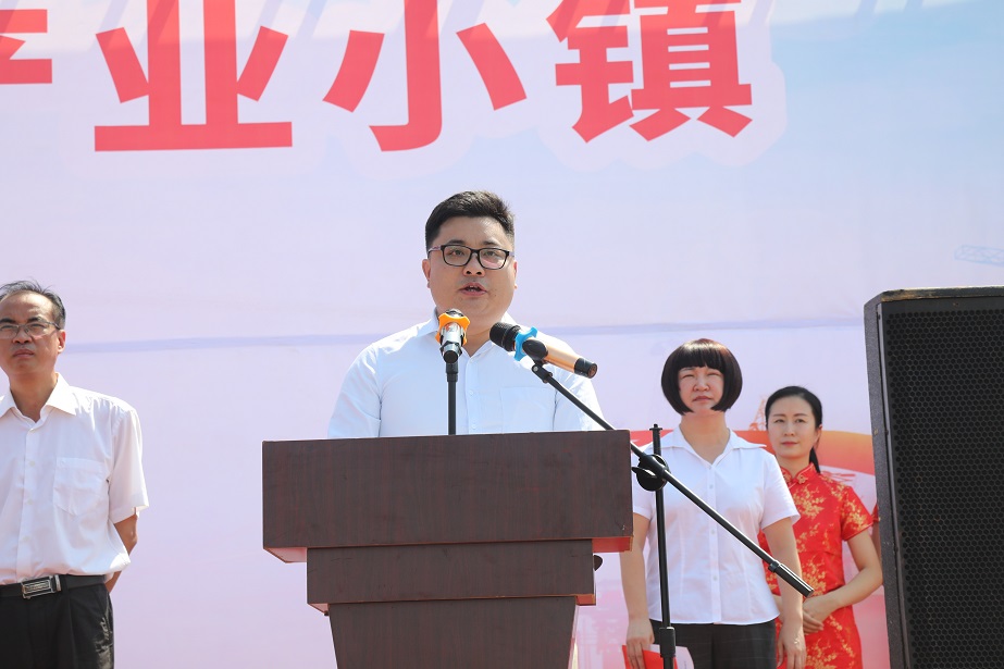 图八.JPG